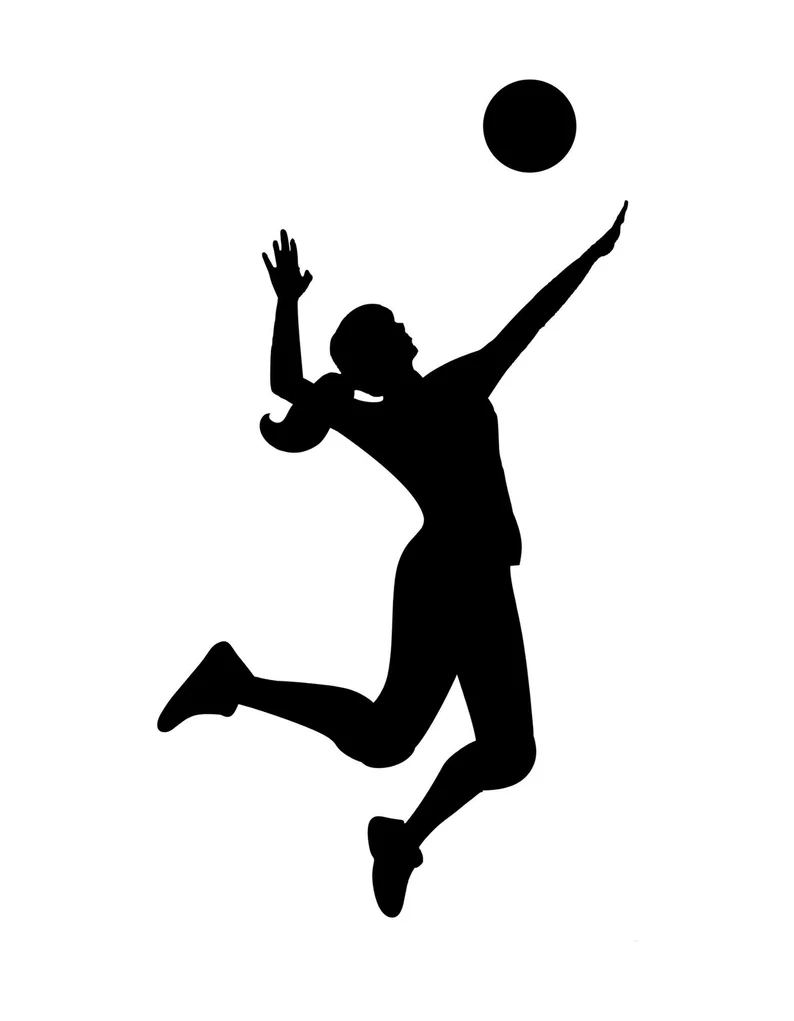 Volleyball