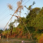 Linge Ping